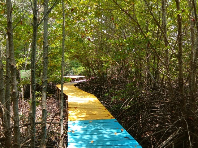 Ekowisata Mangrove Hijau Daun