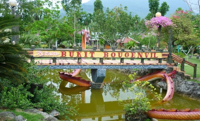 Bukit Bougenville Singkawang